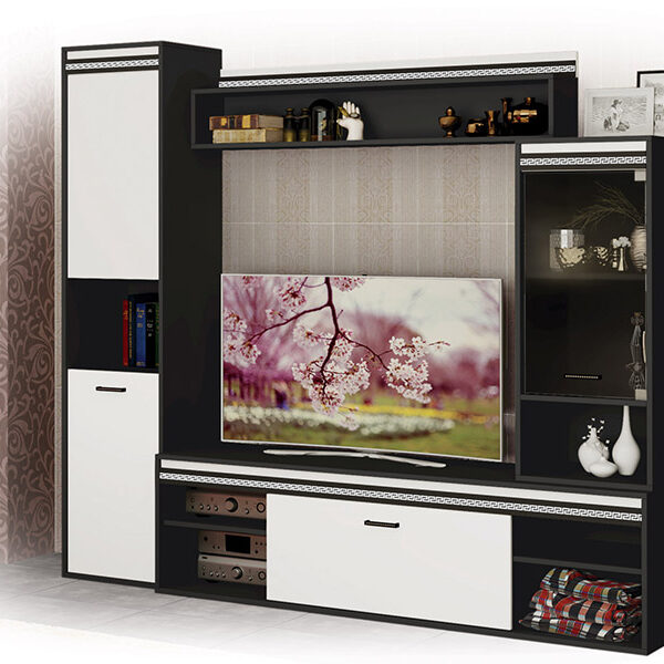 Секция Аиша - Черно и бяло